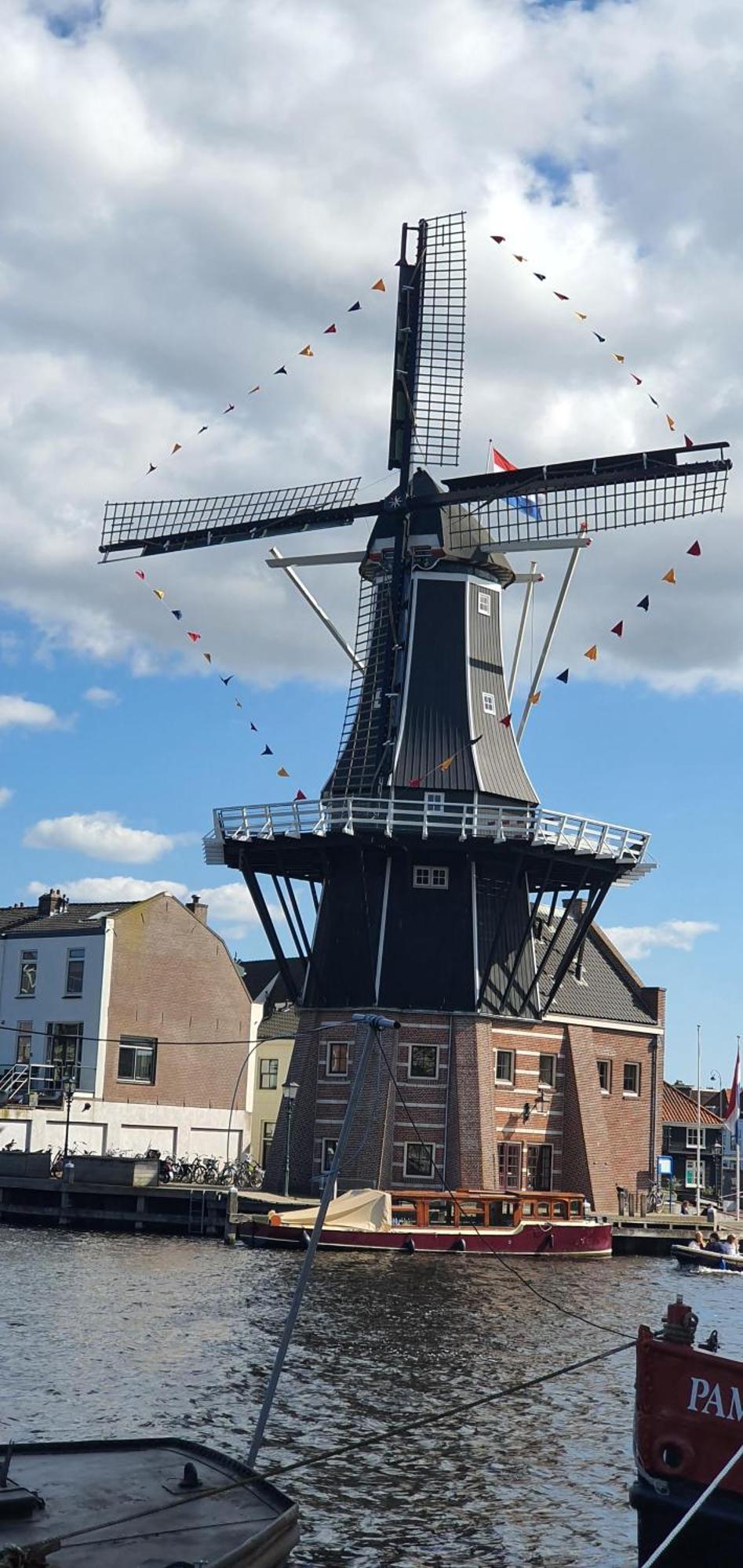City Attic Haarlem Exteriör bild